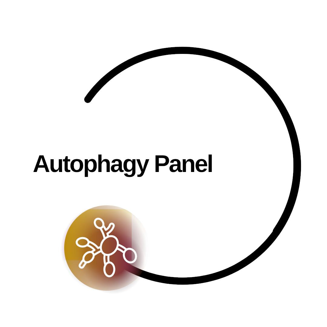 Autophagy Panel