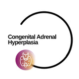 Congenital Adrenal Hyperplasia Report