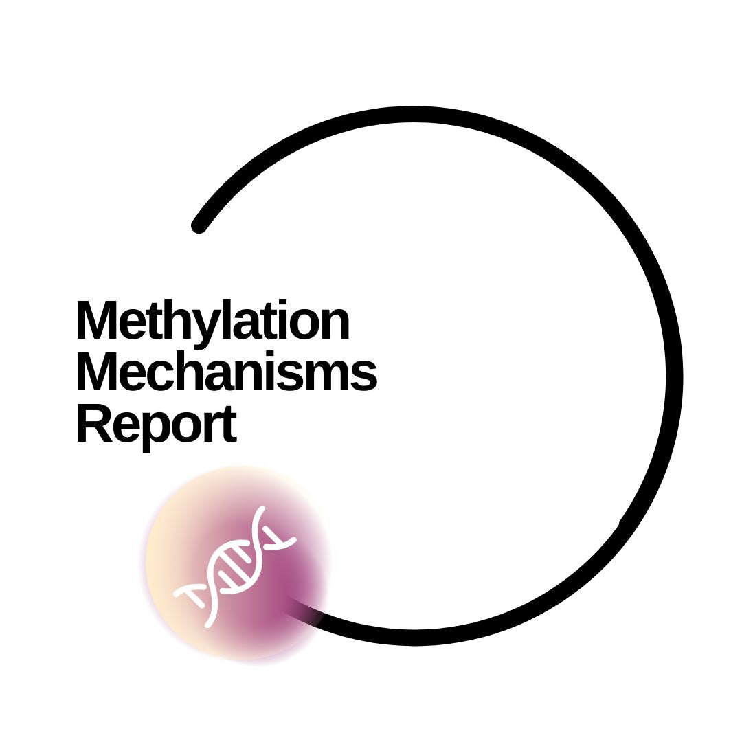Methylation Mechanisms Report