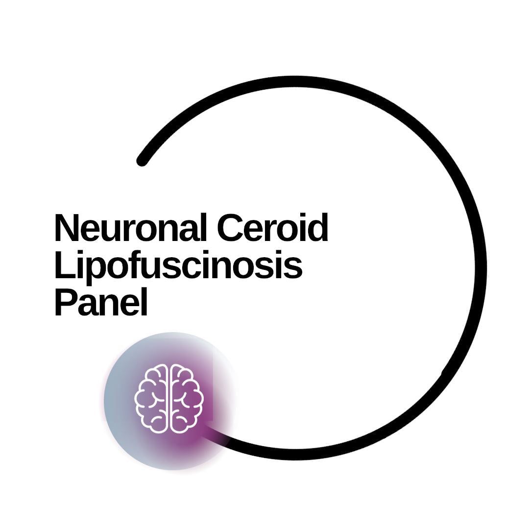 Neuronal Ceroid Lipofuscinosis Panel