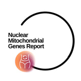 Nuclear Mitochondrial Genes Panel
