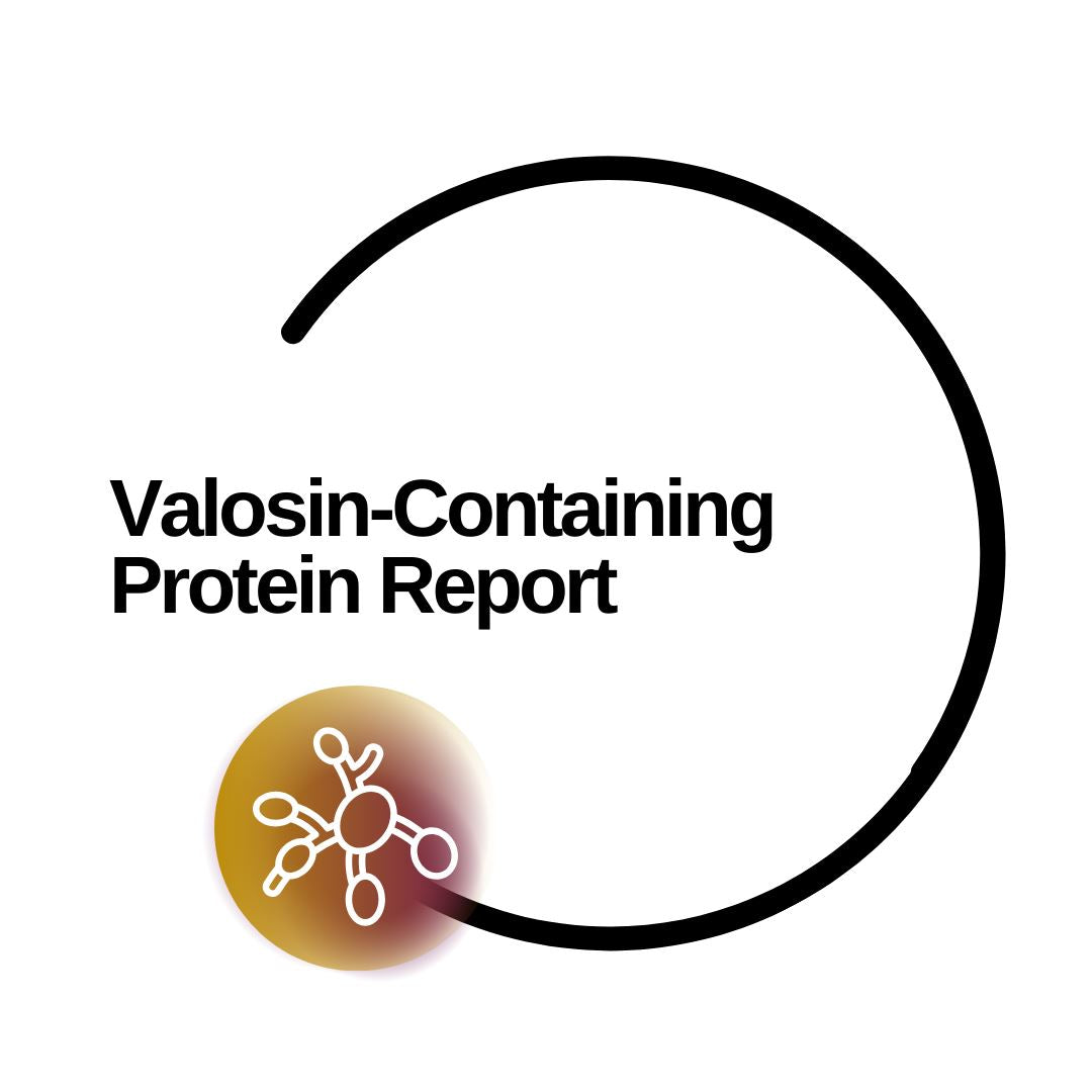 Valosin-Containing Protein Report