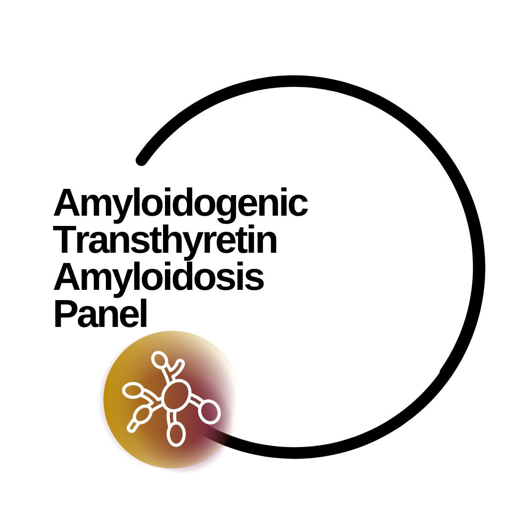 Amyloidogenic transthyretin amyloidosis Panel