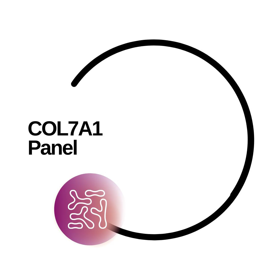 COL7A1 Panel