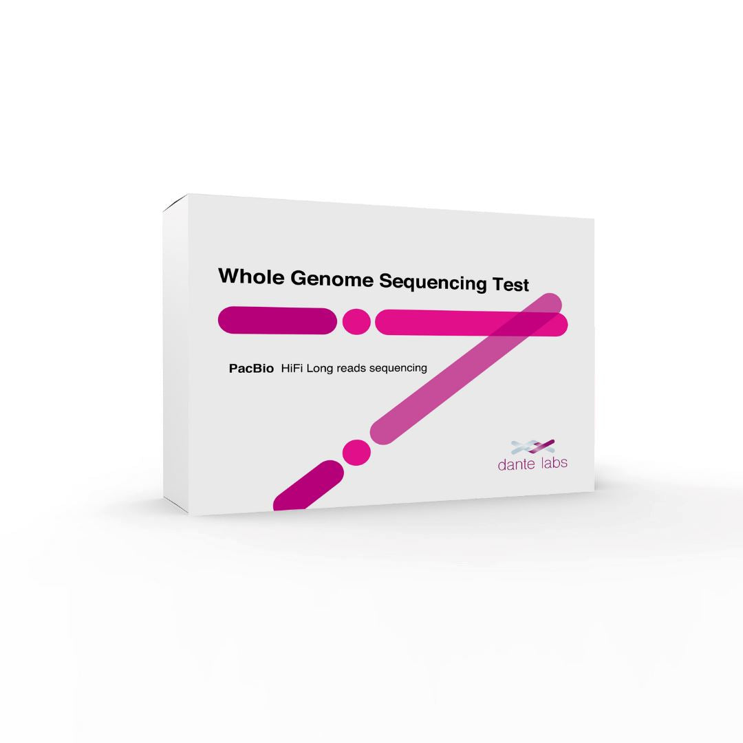 WGP HiFi Reads Whole Genome Sequencing Test